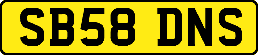 SB58DNS