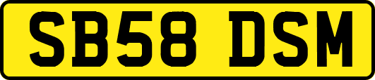 SB58DSM