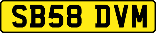 SB58DVM