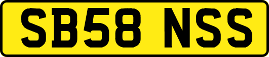 SB58NSS