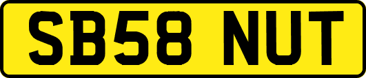 SB58NUT