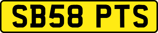 SB58PTS