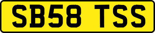 SB58TSS