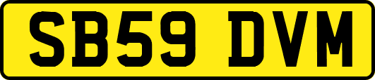 SB59DVM
