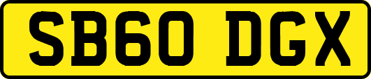 SB60DGX