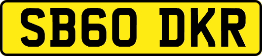 SB60DKR