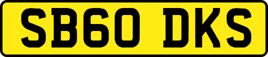 SB60DKS