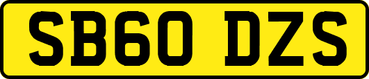 SB60DZS