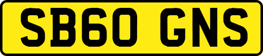 SB60GNS