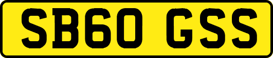 SB60GSS