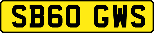 SB60GWS