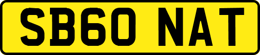 SB60NAT