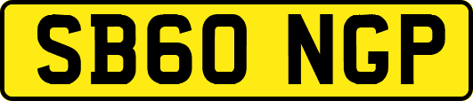 SB60NGP