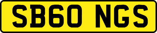 SB60NGS