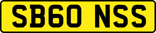 SB60NSS