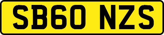 SB60NZS