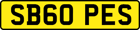 SB60PES