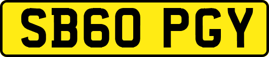 SB60PGY