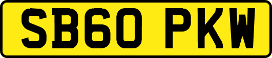 SB60PKW