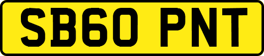 SB60PNT