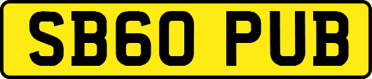 SB60PUB