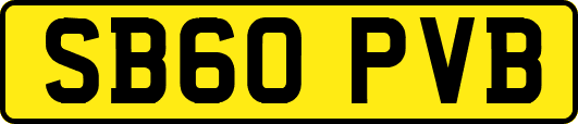 SB60PVB