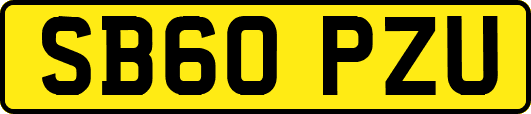 SB60PZU