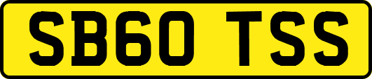 SB60TSS