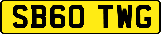 SB60TWG