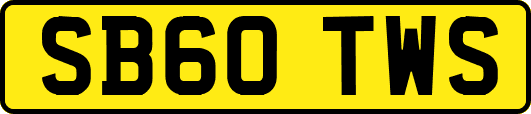 SB60TWS