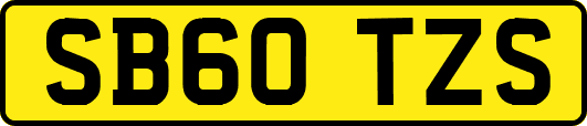 SB60TZS