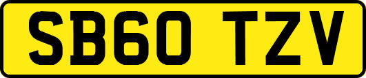 SB60TZV