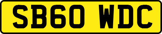 SB60WDC