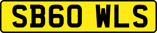 SB60WLS