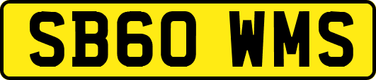 SB60WMS