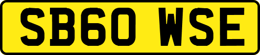 SB60WSE