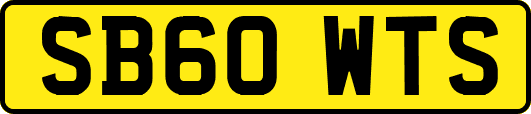SB60WTS