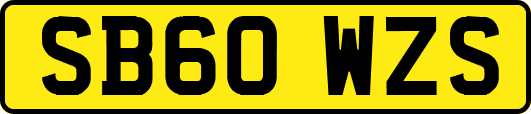 SB60WZS
