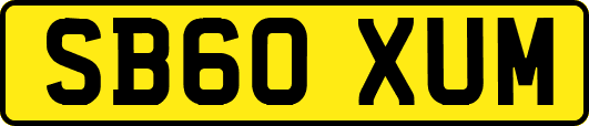 SB60XUM