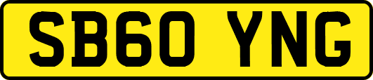 SB60YNG