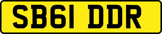 SB61DDR