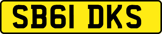SB61DKS
