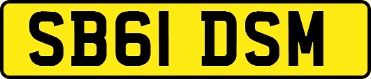 SB61DSM