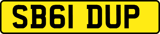 SB61DUP