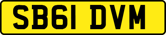 SB61DVM