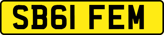 SB61FEM