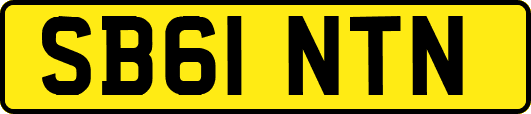SB61NTN