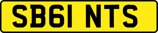 SB61NTS