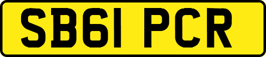 SB61PCR