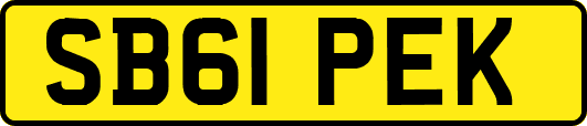 SB61PEK